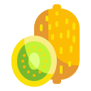 Kiwi icon