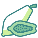 papaya icon