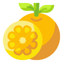 Naranja icon