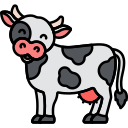 vache 