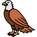 águila 