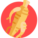 Ginseng icon