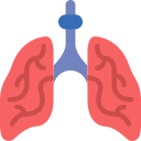 Pulmones icon