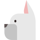 Dogs icon
