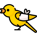 Pájaro icon