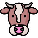 Vaca icon