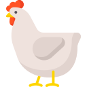 Pollo icon