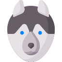 Perro icon