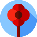 amapola icon