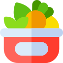 Alimentos saludables icon