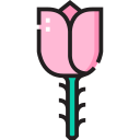 Rosa icon