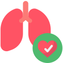 Pulmones icon