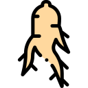 Ginseng icon