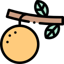 mandarina icon