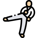 Taekwondo icon