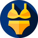 Bikini icon