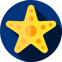 Estrella de mar icon