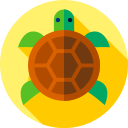 Tortuga icon