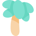 palmera icon