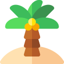 Palmera icon