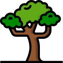 árbol