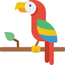 Papagaio 