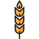 trigo icon