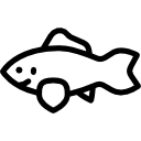 pescado icon