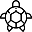 tortuga icon