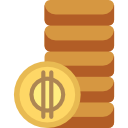 moneda icon