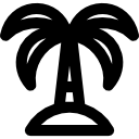 palmera icon