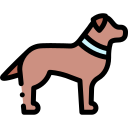 Perro icon