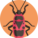 Cucaracha icon