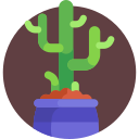 Cactus icon