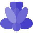 Iris icon