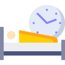 Reloj icon