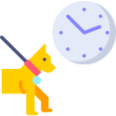 Reloj icon