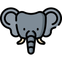 Elefante