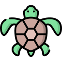 Tortugas