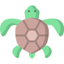 Tortugas