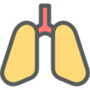 pulmones icon