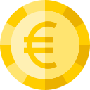 Euro icon