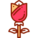 Rosa icon