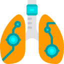 Pulmones