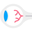 Ojo icon