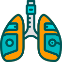 Pulmones icon