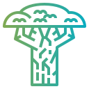 Baobab icon