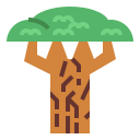 Baobab icon