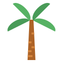 Palmera icon