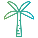 Palmera icon